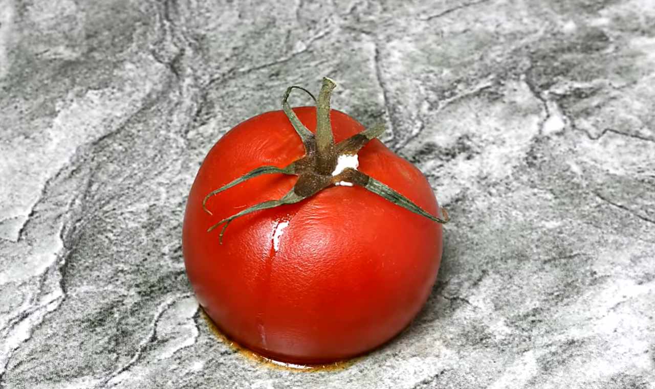 spleśniały pomidor