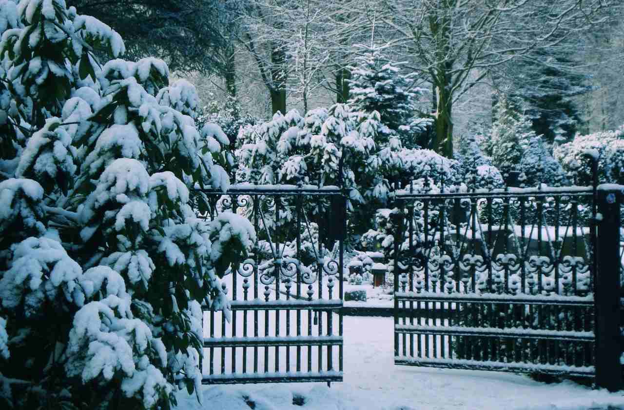 Ogród w zimie 