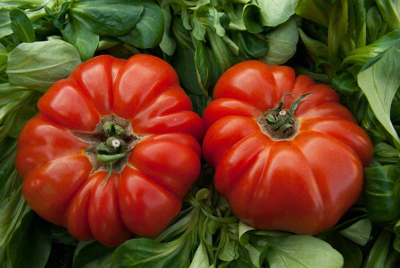 Pomidory będą słodkie i soczyste