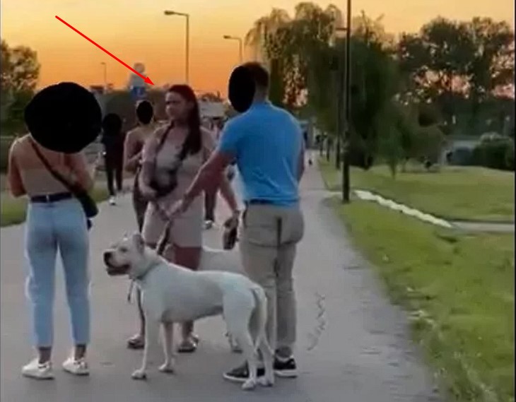 Policja poszukuje właścicielki psa z Krakowa