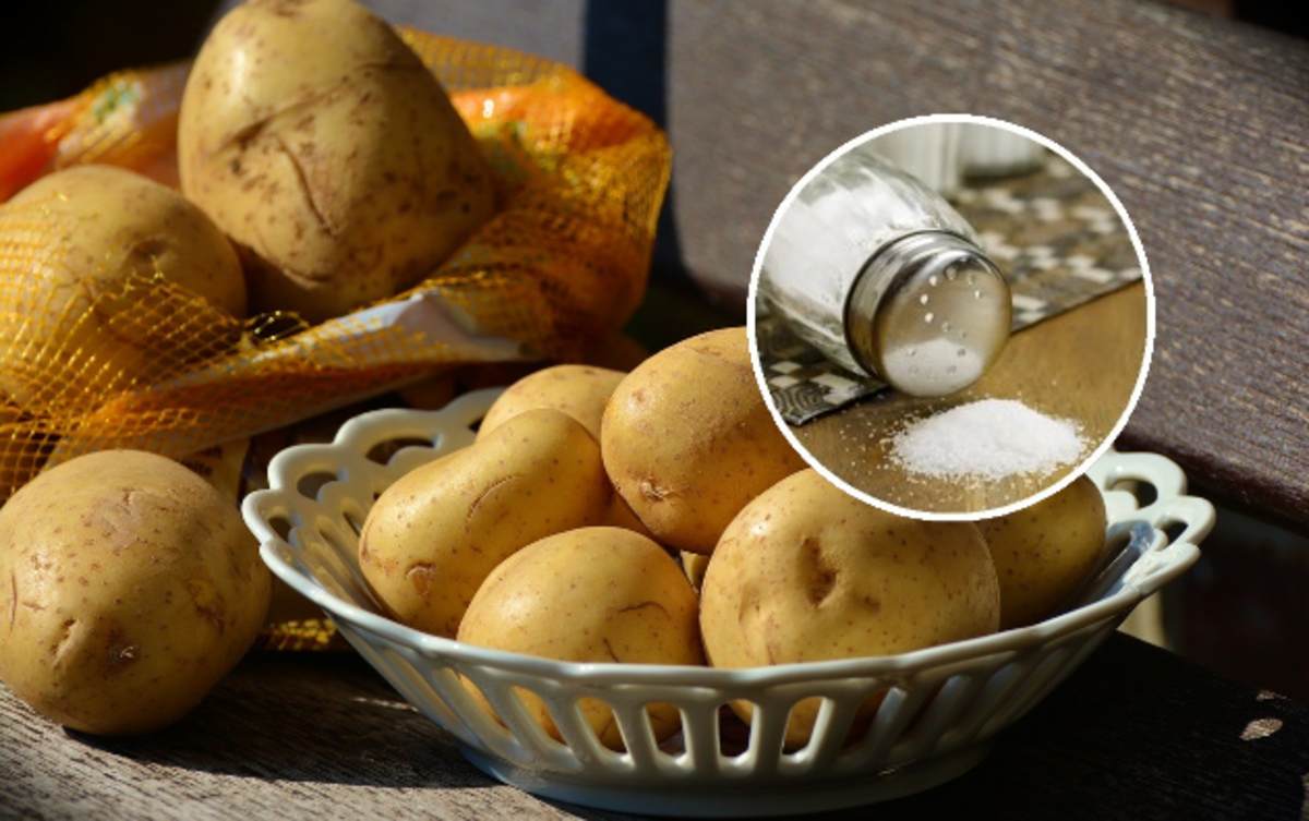 ziemniaki i solniczka