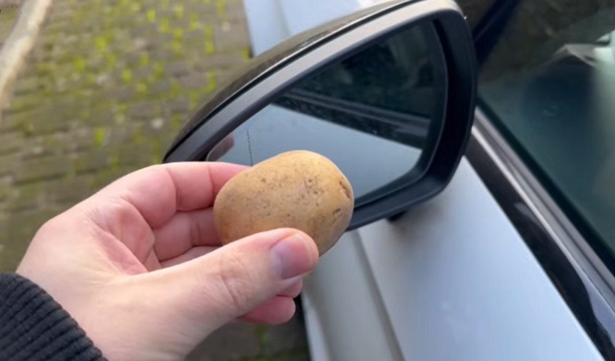 ziemniak przy samochodzie