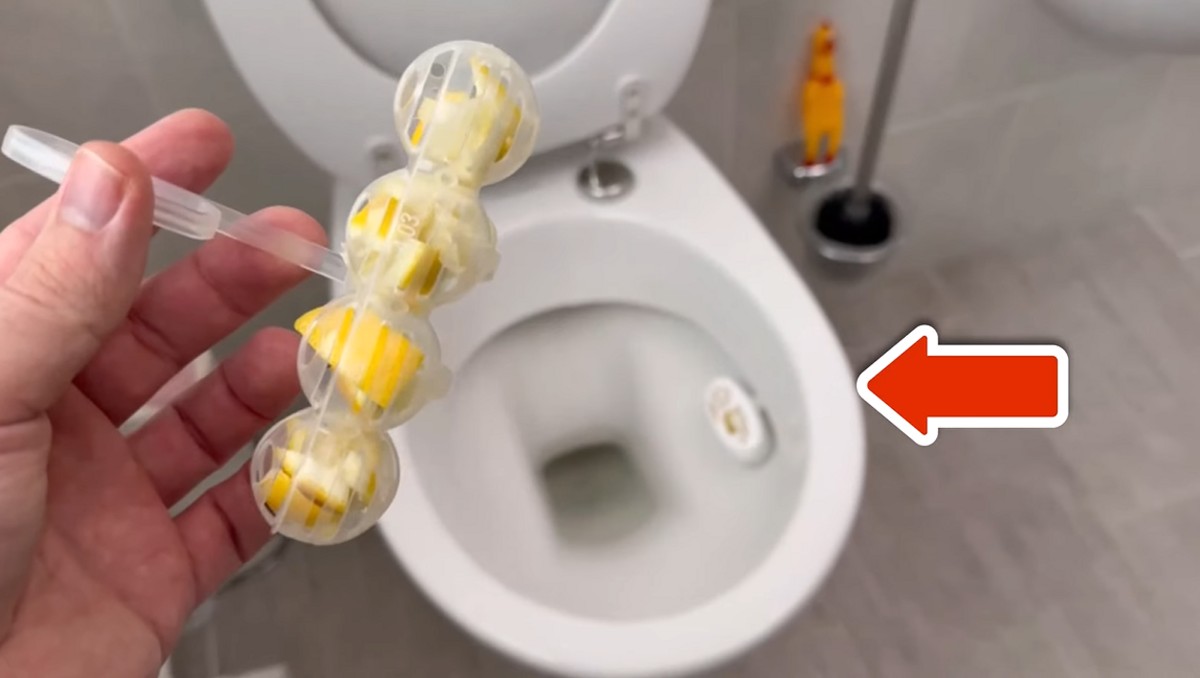 skórki z cytryny do toalety