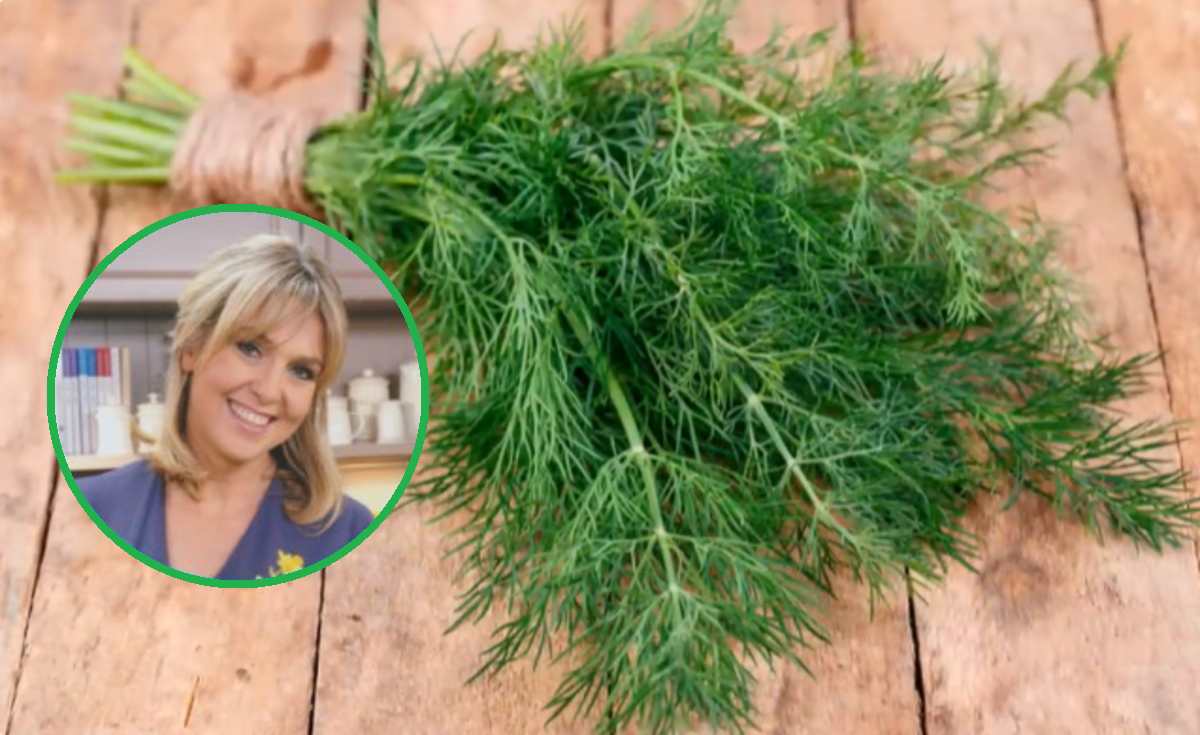 Ewa Wachowicz i koperek