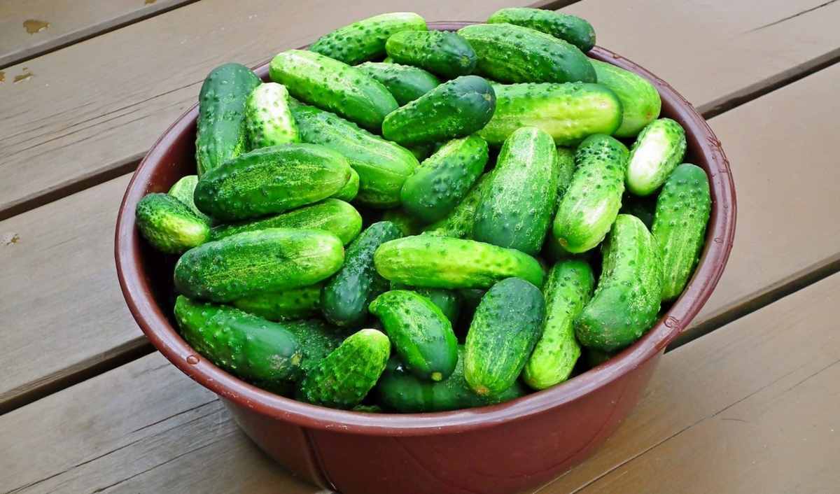 ogórki
