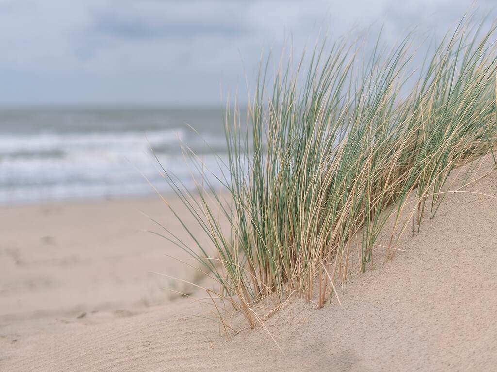 Nastolatek zginął na plaży