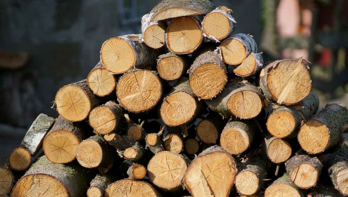 Dzięki tej rezolutnej metodzie drewno opałowe schnie 2x szybciej