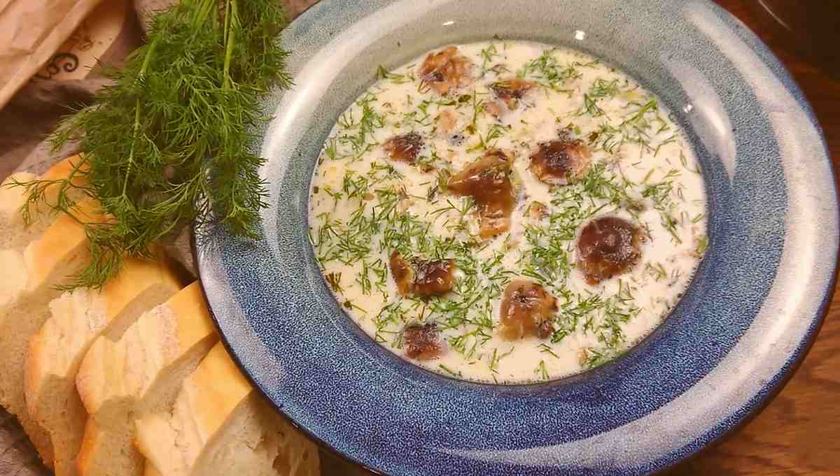 zupa grzybowa