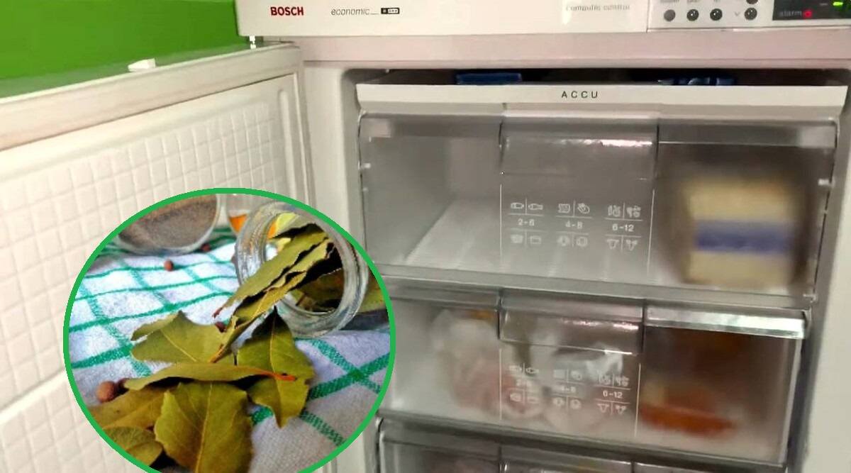 włóż liście laurowe do zamrażarki