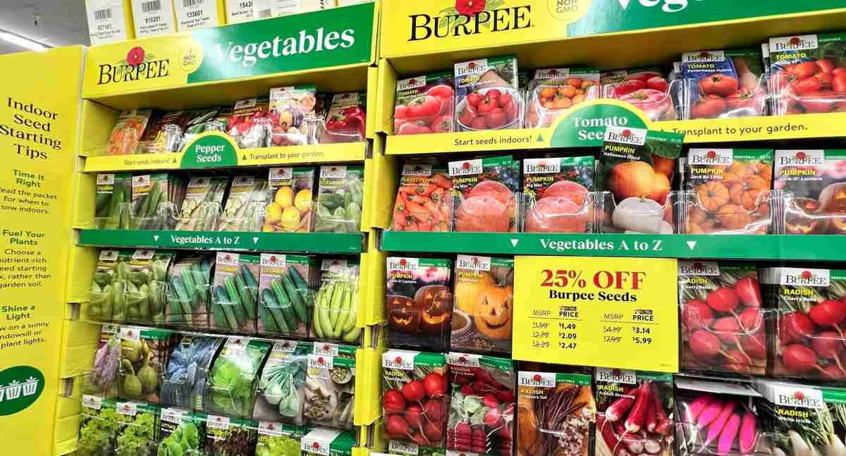nasiona warzyw i owoców w sklepie