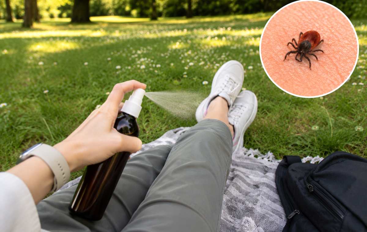 domowy spray na kleszcze