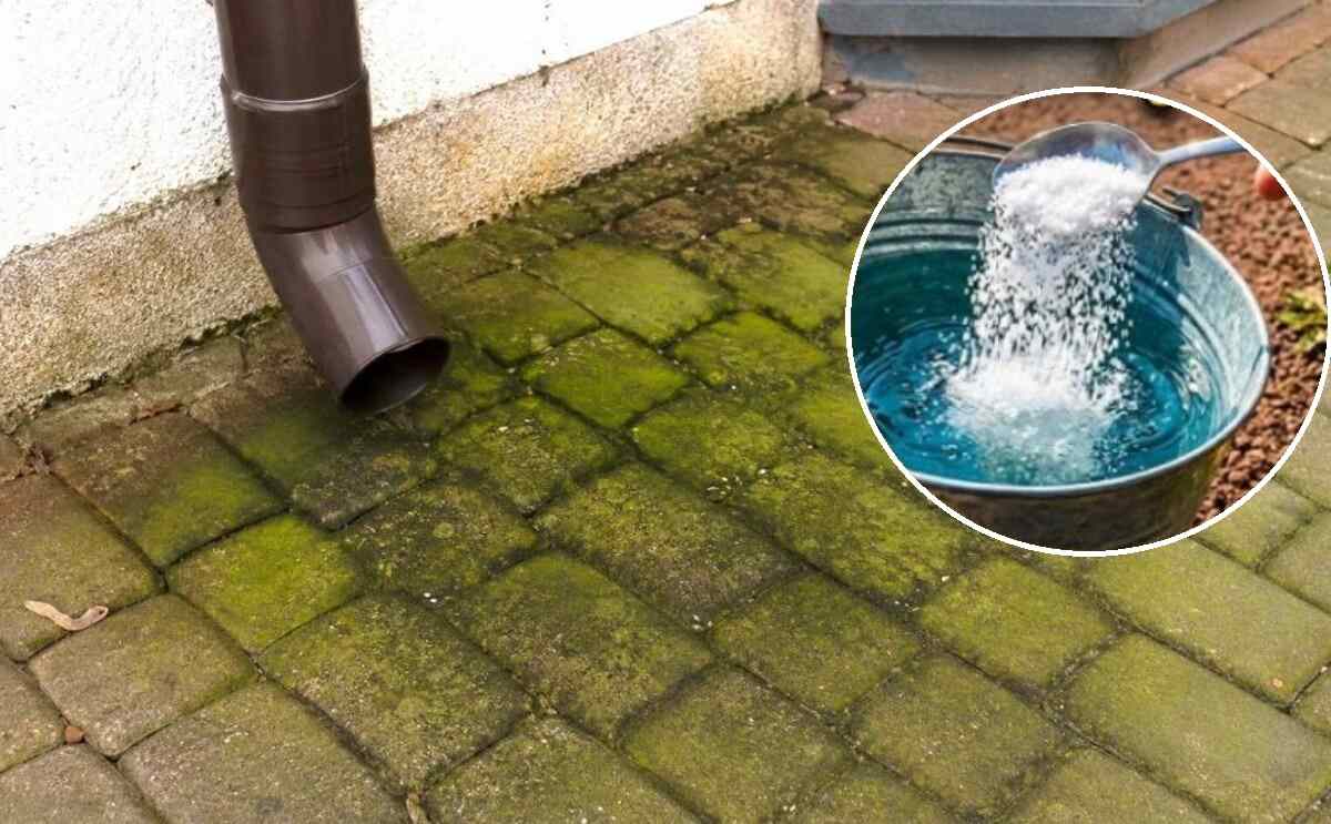 jak usunąć zielony osad z kostki brukowej