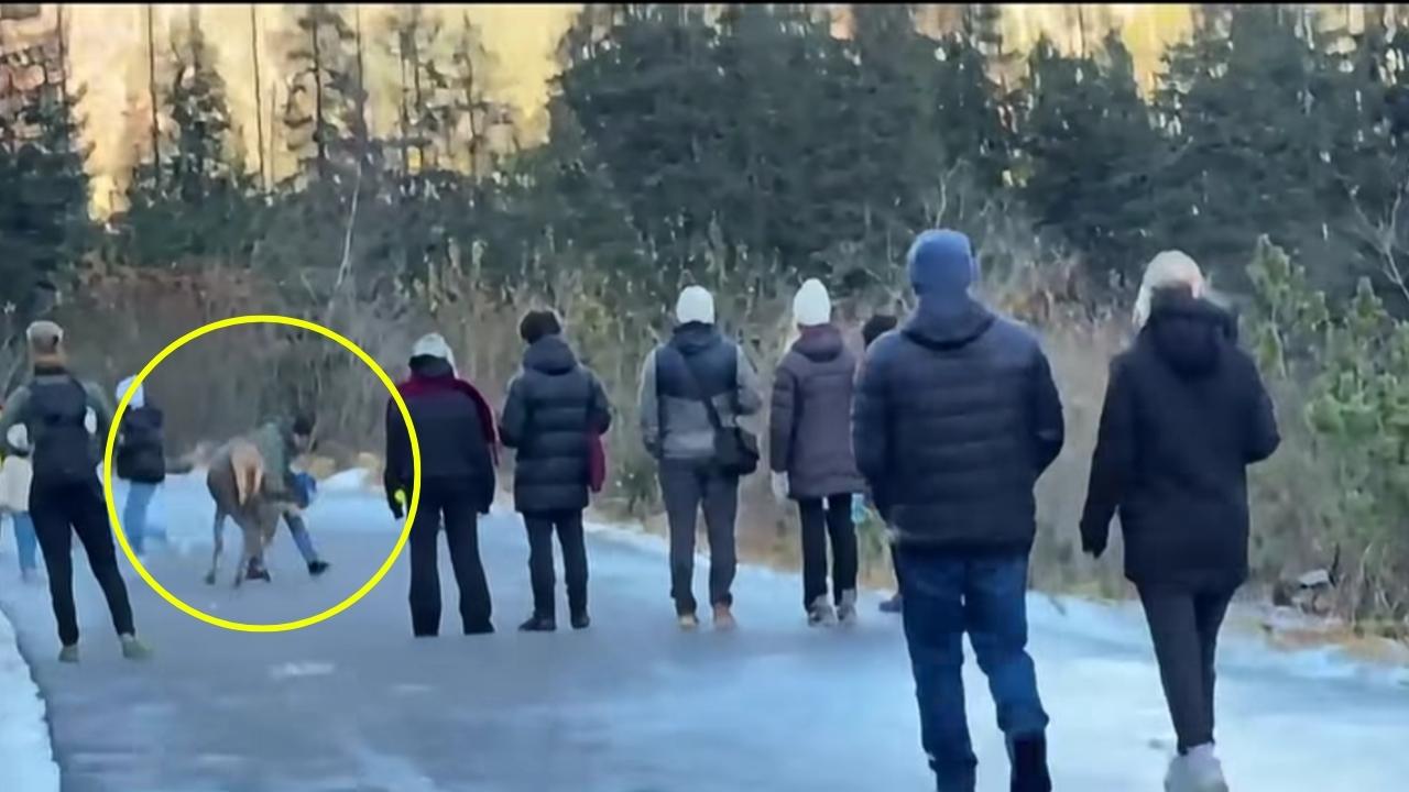Skandaliczne zachowanie na trasie do Morskiego Oka. Znęcał się nad zwierzęciem [WIDEO]